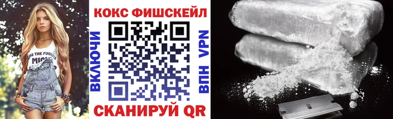 Купить закладки  Порхов  COCAIN Колумбийский 