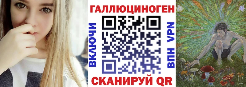 Купить где Порхов Псилоцибиновые грибы мицелий